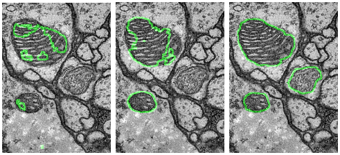 Domain adaptive segmentation